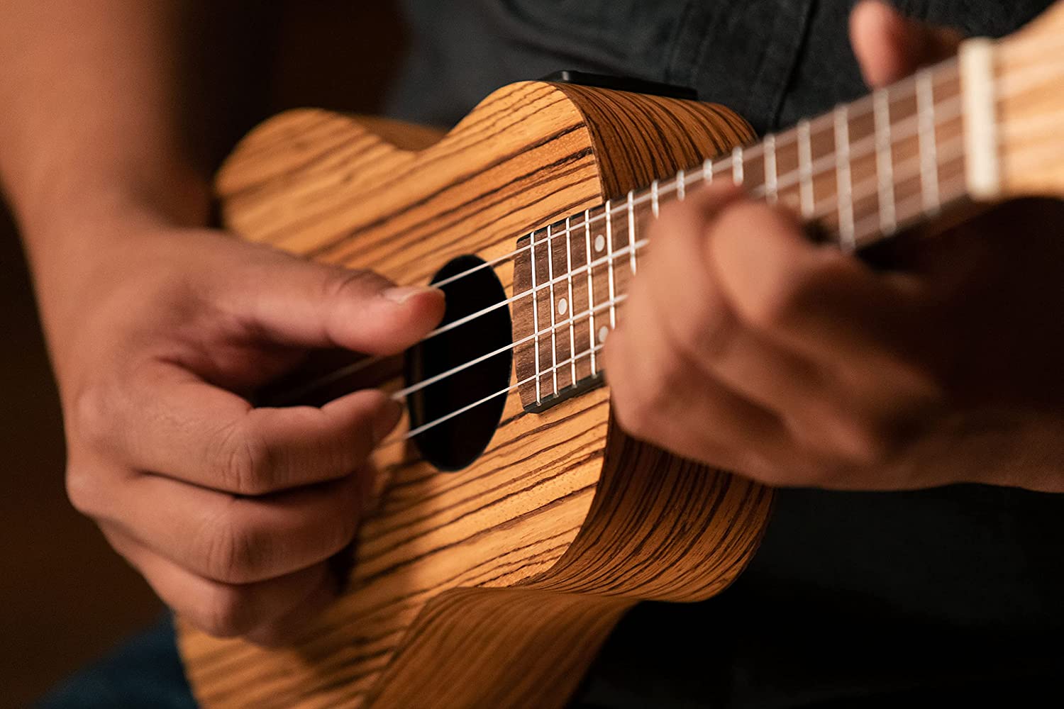 Ukulele Classes Noida - Vayu Music Institute Sector 62 Sector 119